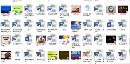 權(quán)健團隊建設(shè)與教育培訓(xùn)資源全攻略