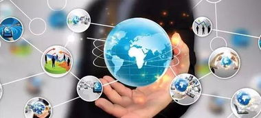 行業不斷刷新，寵物店家如何玩轉網絡文化經營之道